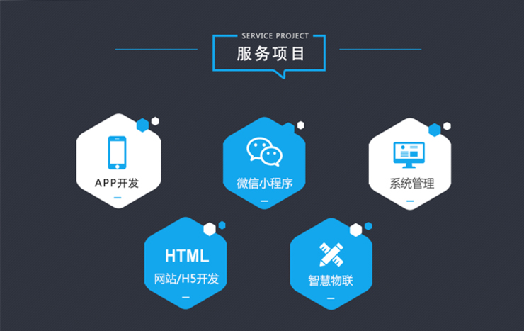 10年专业定制系统/小程序/软件项目开发详情 - 华网天下