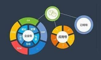 小程序服务类型如何选